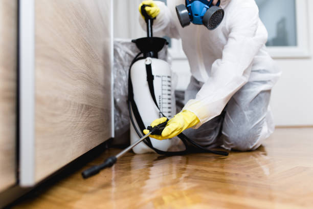 Best Exterminator Services  in Reynoldsburg, OH