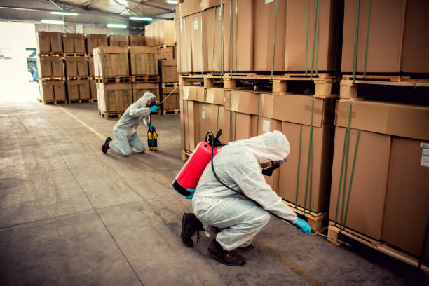 Best Ant Control Services  in Reynoldsburg, OH