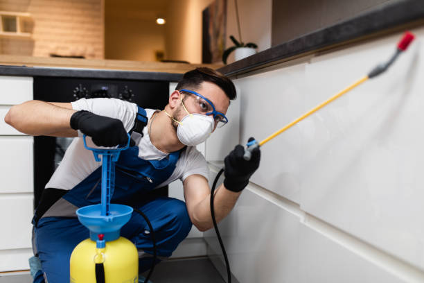 Best Pest Inspection Near Me  in Reynoldsburg, OH