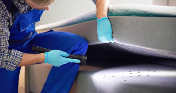 Best Cockroach Control Services  in Reynoldsburg, OH