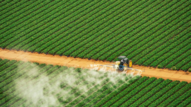 Best Pest Removal Services  in Reynoldsburg, OH