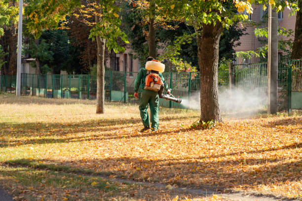 Reliable Reynoldsburg, OH Pest Control Solutions